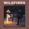 Dillon Vanders - Wildfires